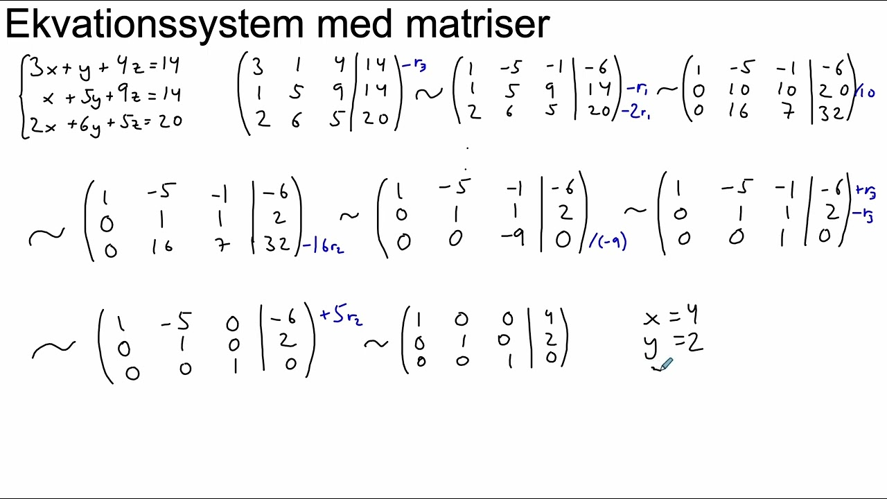 Ekvationssystem (matriser)