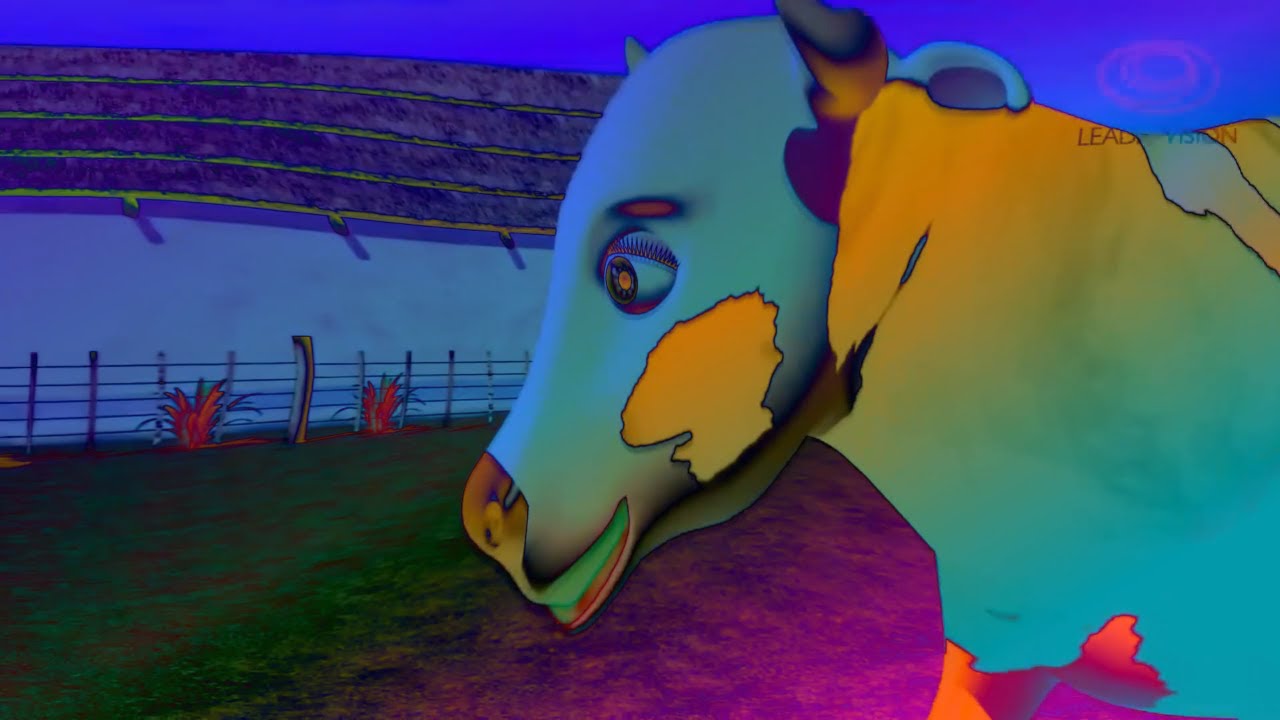 La Vaca Lola Cow Effects - Cool Special Visual & Audio Effects Edit PART 7