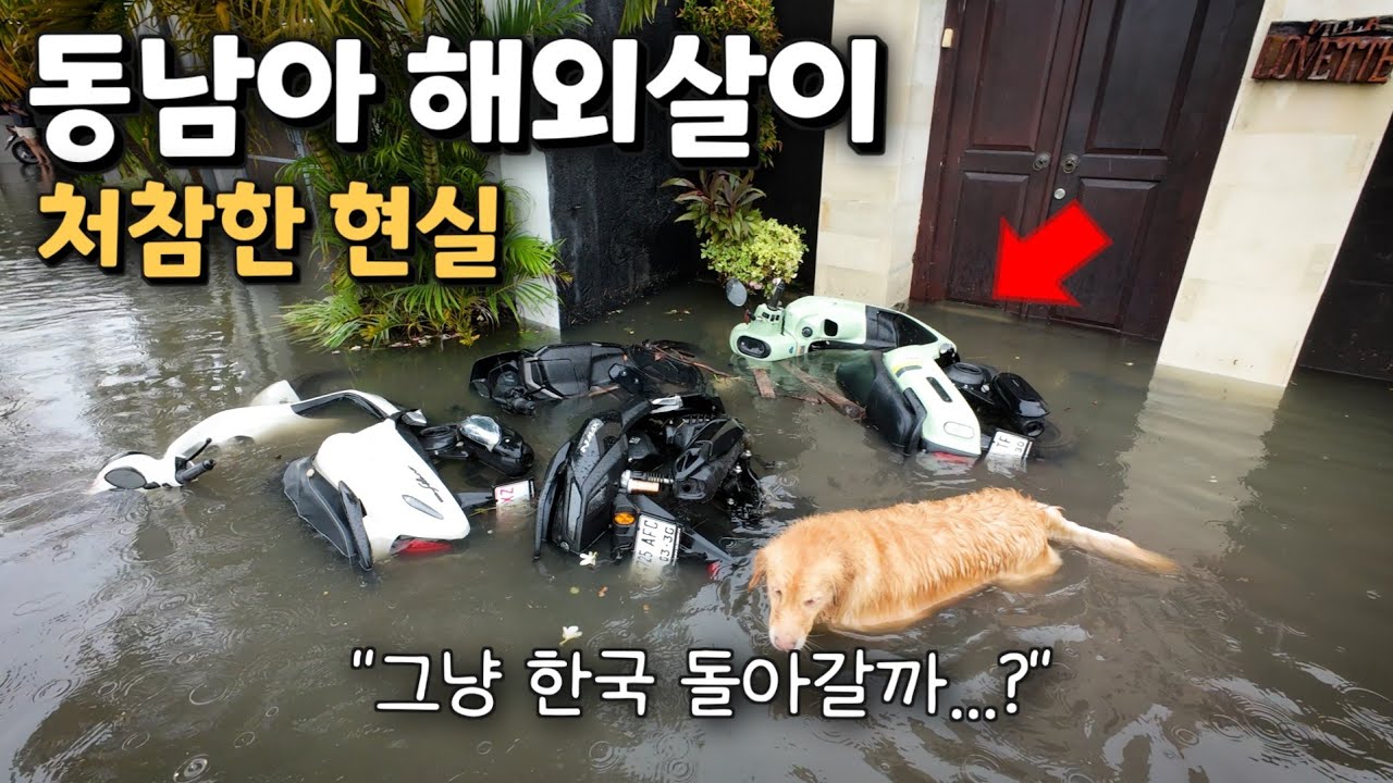물폭탄 발리 우기 조심하세요! 우리집도, 호텔도 침수당한 발리 생활 현실판