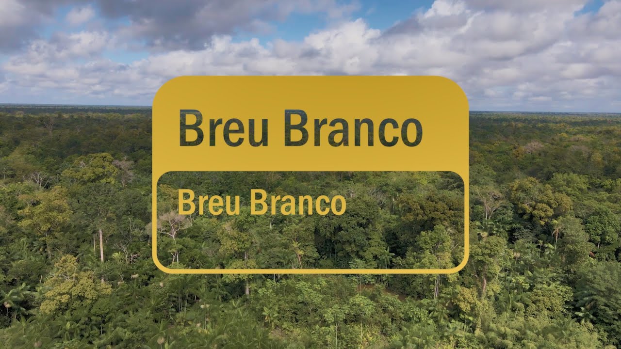 doTERRA Breu Branco