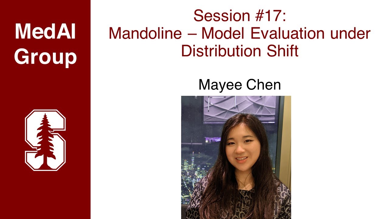 MedAI Session 17: Mandoline - Model Evaluation under Distribution Shift | Mayee Chen