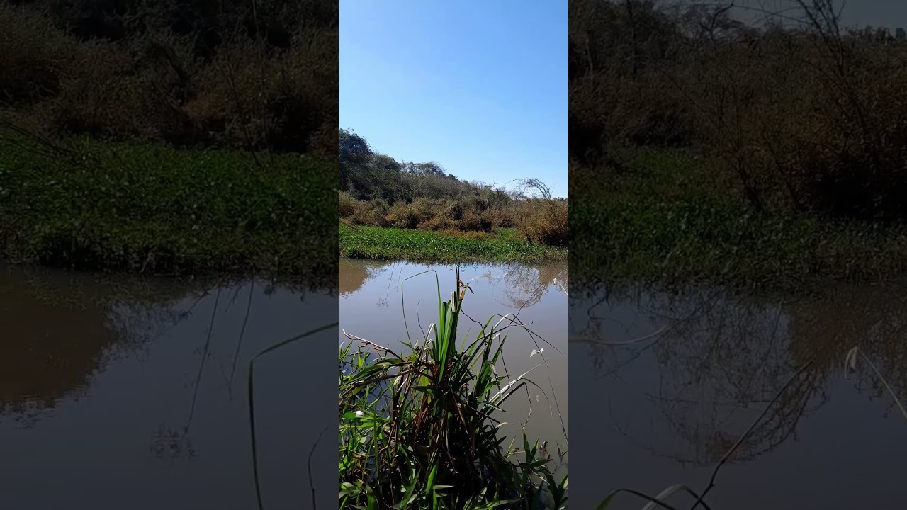 #fishing