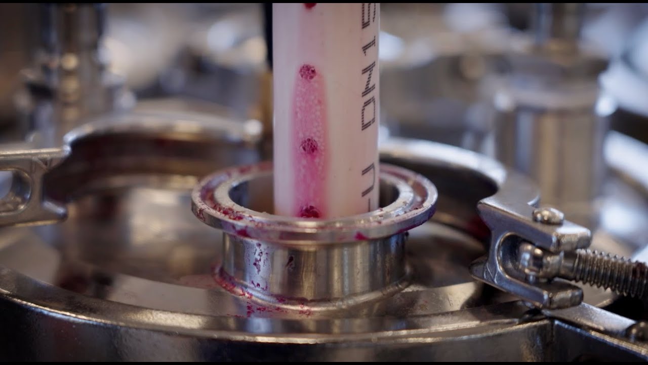 BRI Research Winery Trials