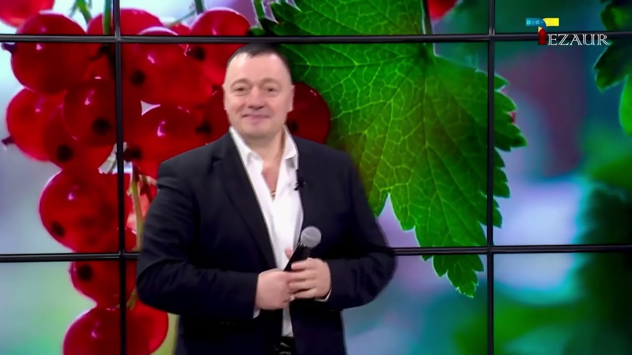 Valeriu Cornea- Dar Eu la Drum când mă Pornesc !