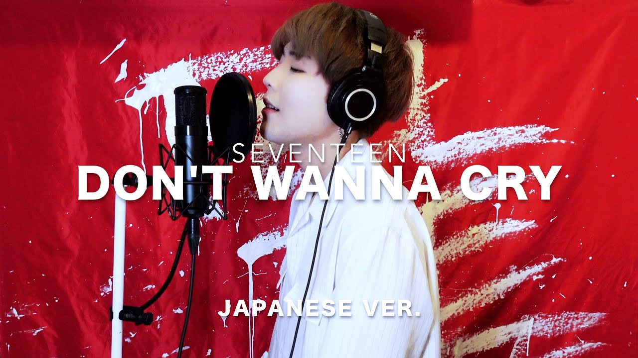 Don't Wanna Cry (울고 싶지 않아) / SEVENTEEN (세븐틴) Japanese Lyric ver. ( cover by SG )