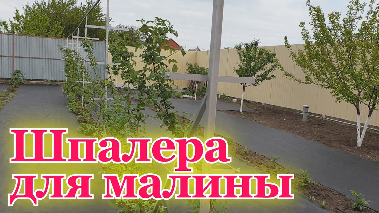 Шпалера для малины