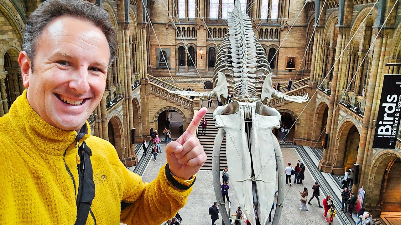 Inside London's Natural History Museum: Dinosaurs, Blue Whales & Food