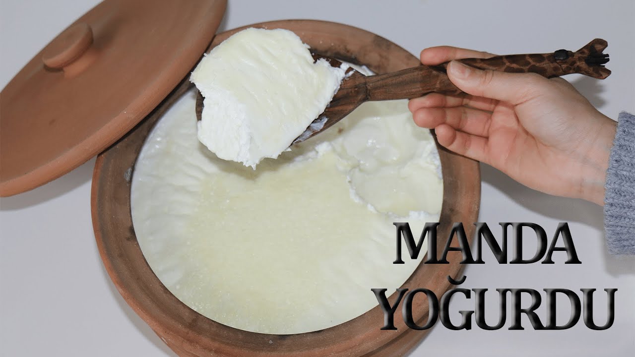 Taş gibi manda yoğurdu yaptım😍manda sütü ve yoğurdunun kansere bile faydası var💯bütün püf noktaları💯