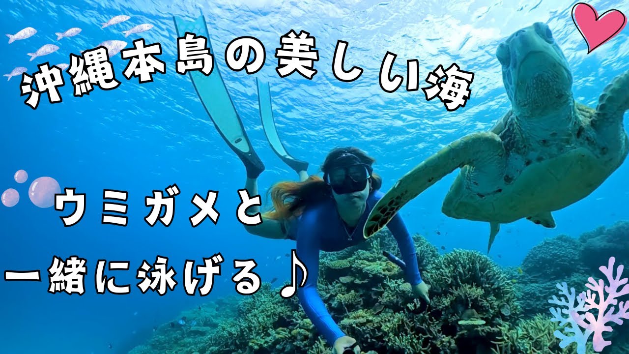 沖縄本島の海も最高に綺麗！！ウミガメと泳げる恩納村の海✨