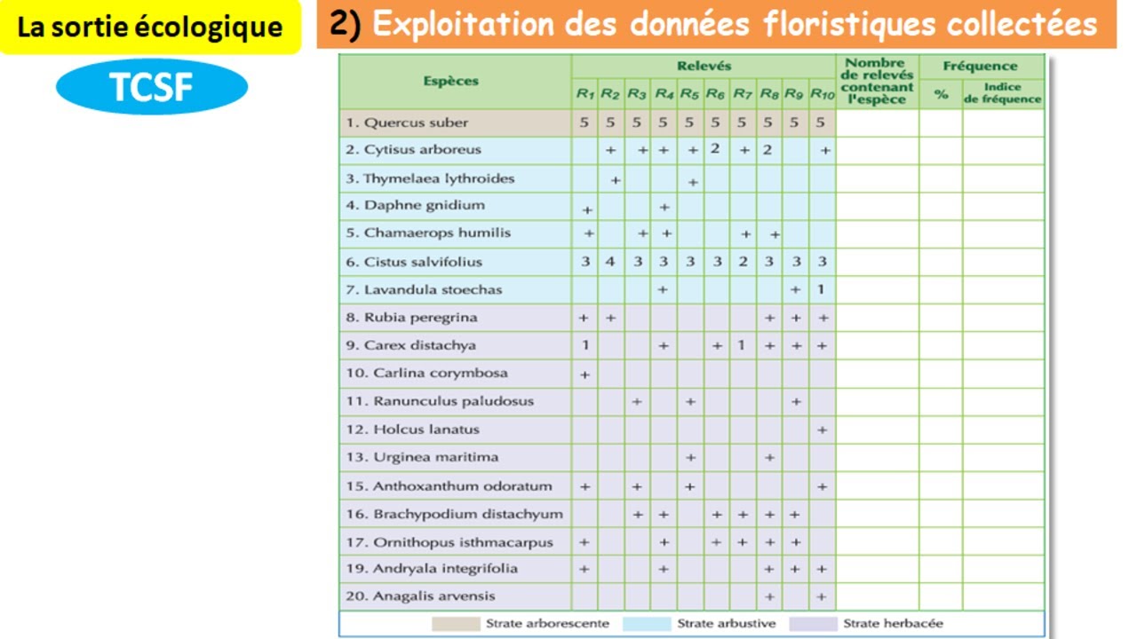 Exploitation des données floristiques collectées svt TCSF (شرح بالداريجة)