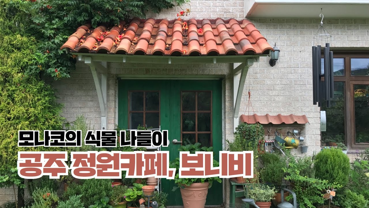 300여종의 식물이 있는 아름다운 정원카페, 보니비