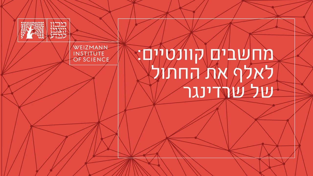 מחשבים קוונטיים: לאלף את החתול של שרדינגר