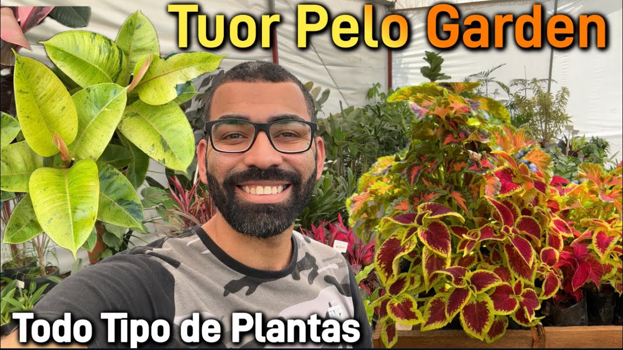 Plantas a partir R$1,50 Tuor pelo Garden!