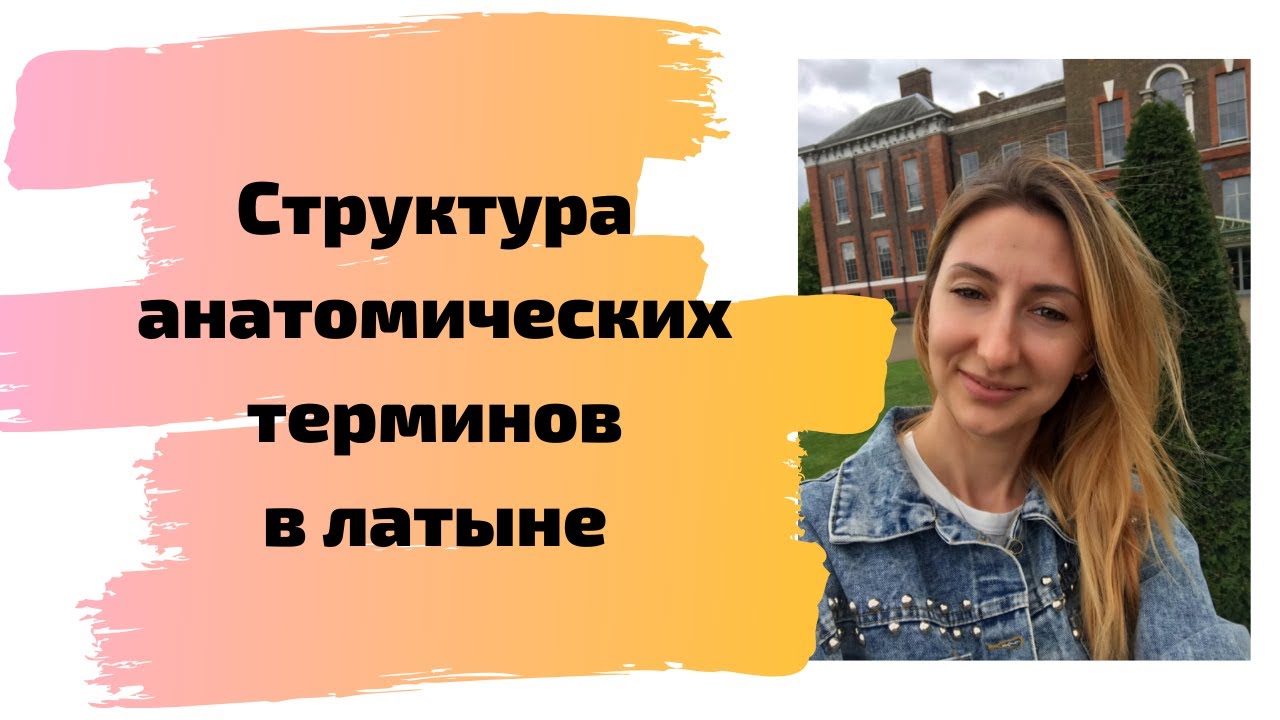 Структура анатомических терминов в латыне