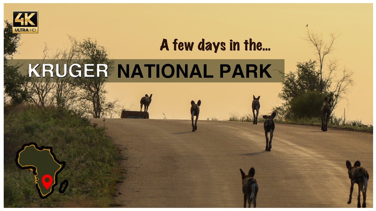 We spend a few nights in the Kruger National Park | Ep. 2