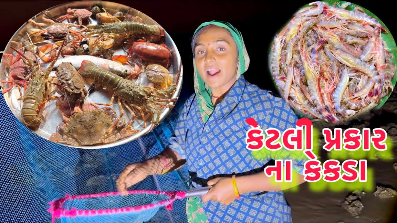 કાજલે રાત્રે લાટ હોંઢીયા પકડયા 🦐 night jinga fishing 🎣 dariyai khedut