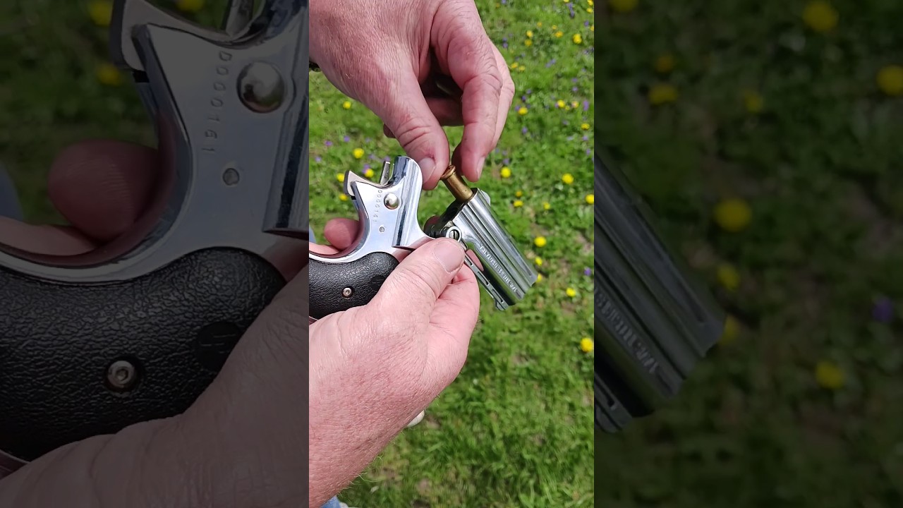 Davis Industries 38 Special Derringer - uhhhhhh
