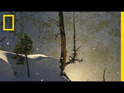 Diamond Dust | America's National Parks