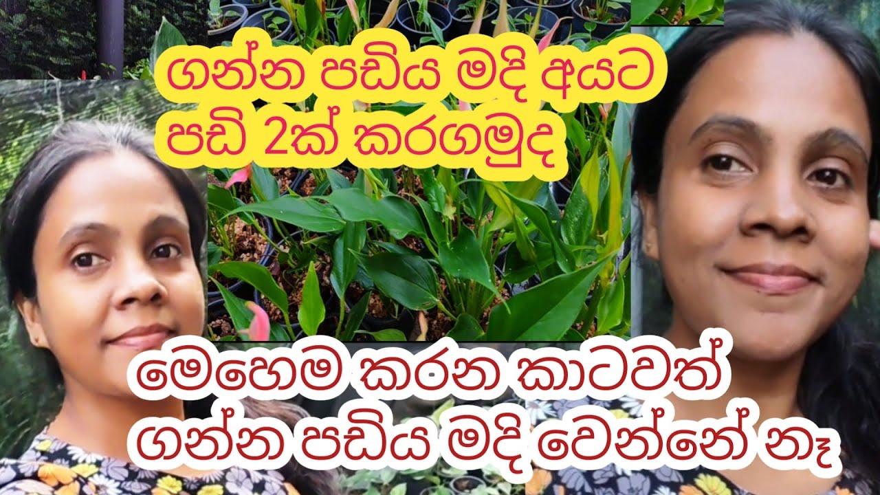 හදිස්සියට සල්ලි ඕනනම් || මෙන්න කියාපු පිලියම