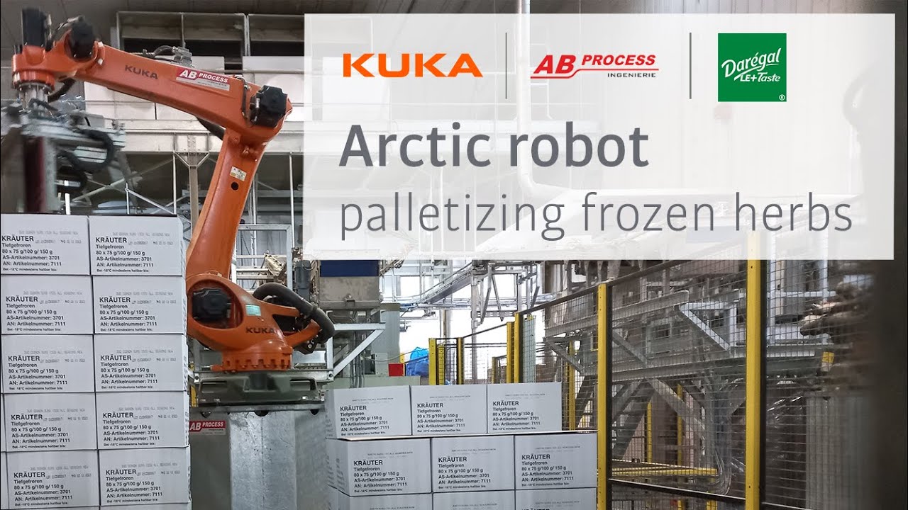 Arctic Palletizing robots for automation in frozen environments