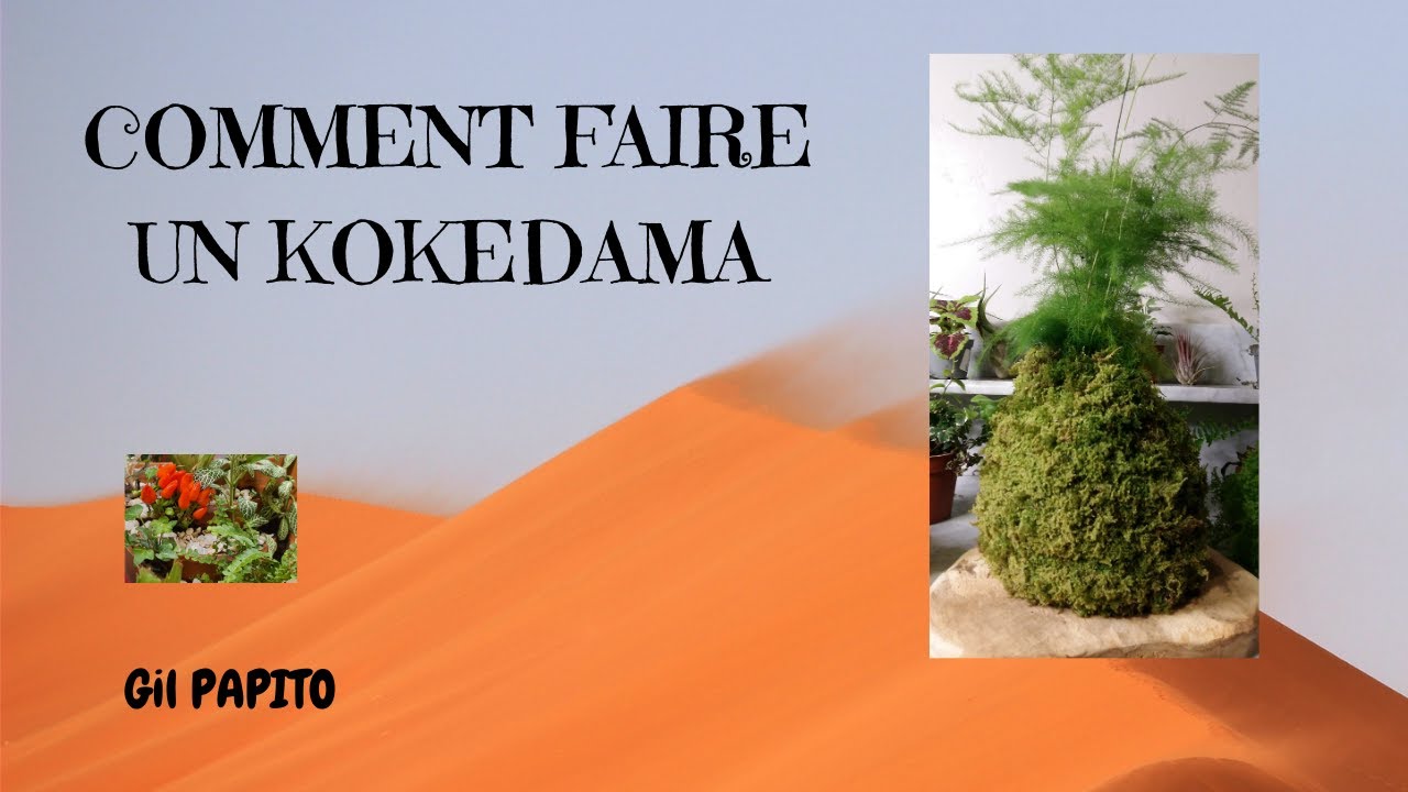 COMMENT CREER UN KOKEDAMA