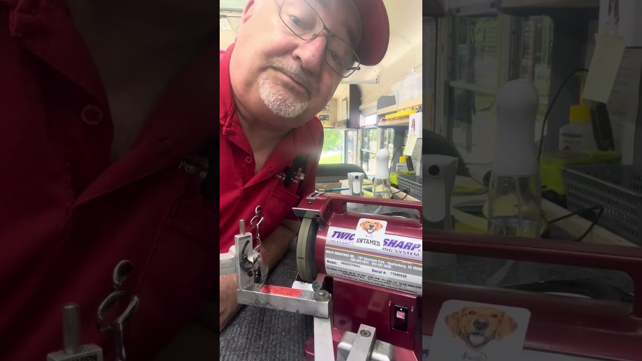 Sharpening a very curved scissor on the twice as sharp.
