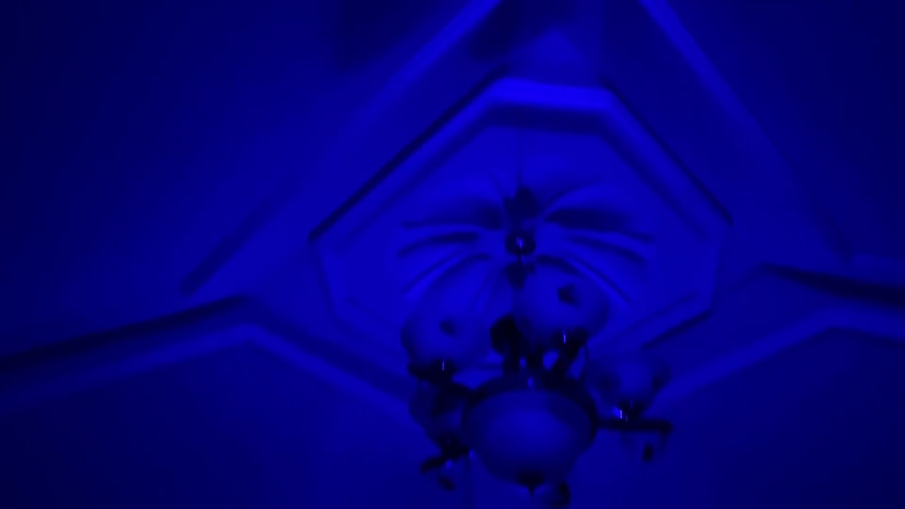 TRIXILLIUM - Baby Snake