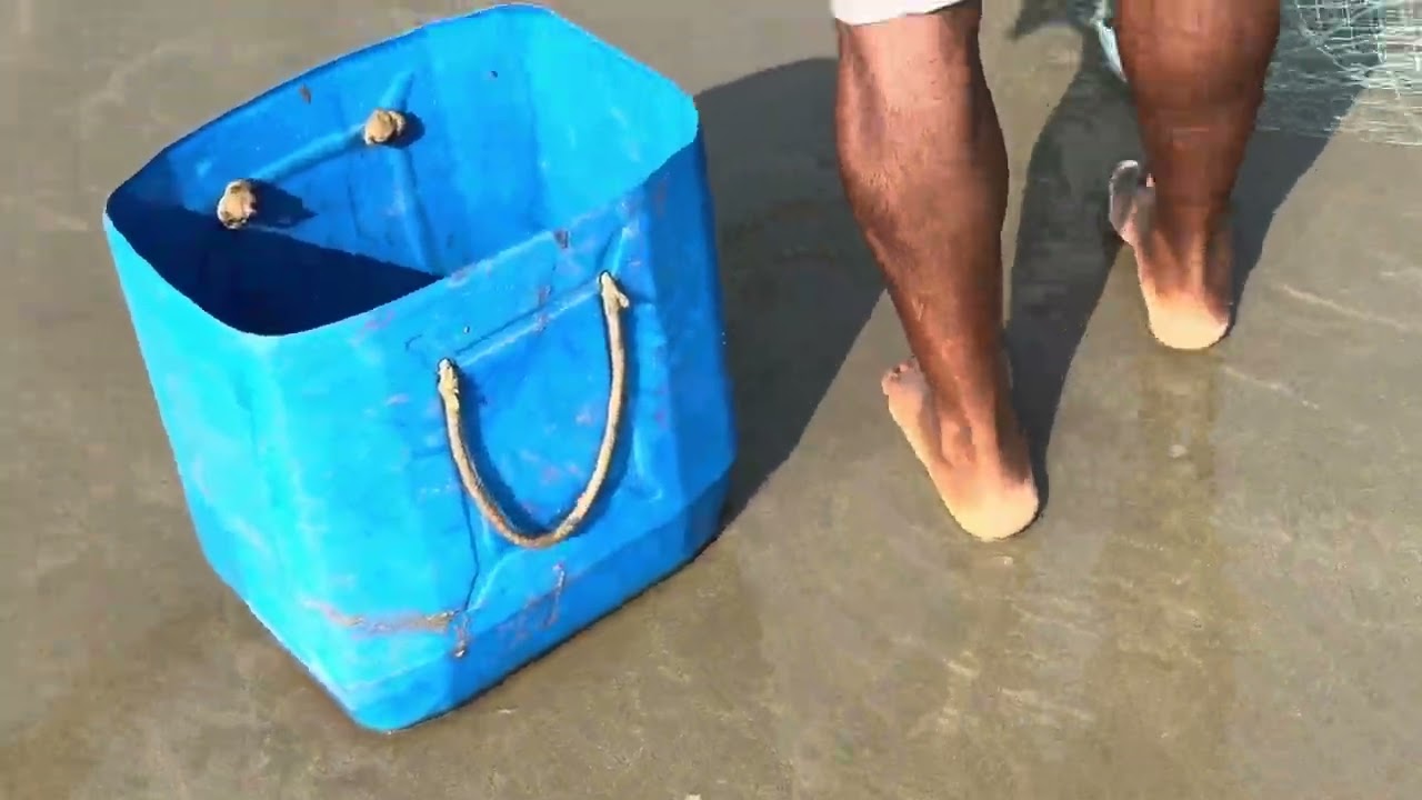 Net fishing in Goa 