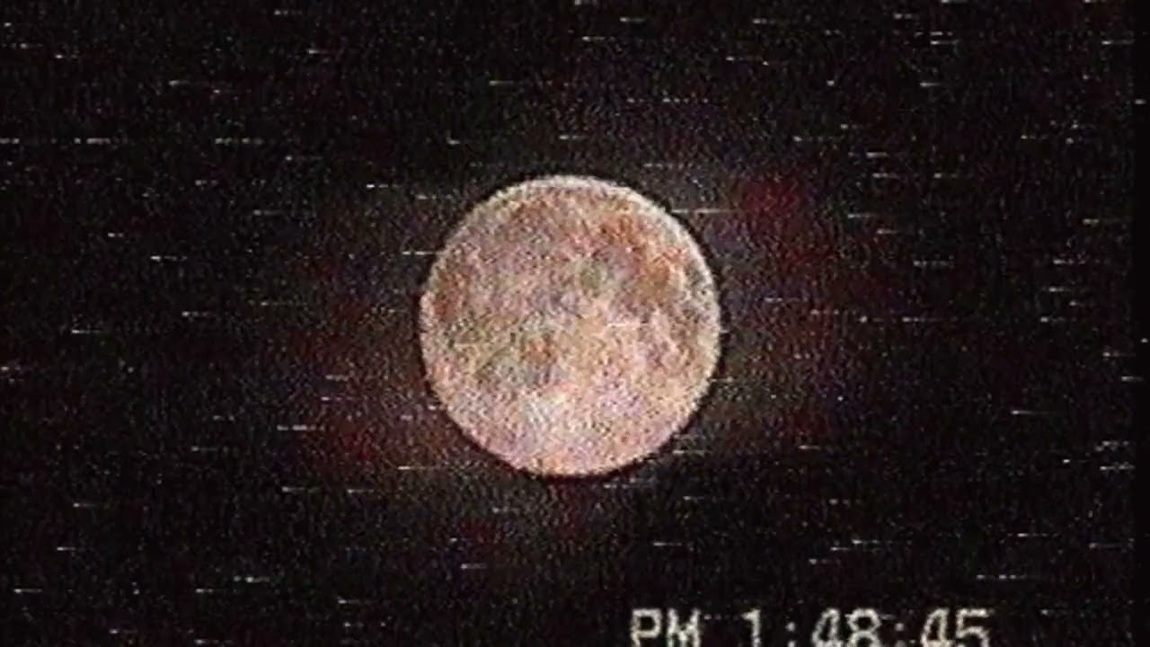 𝑴𝒓.𝑲𝒊𝒕𝒕𝒚 - 𝑨𝒇𝒕𝒆𝒓 𝑫𝒂𝒓𝒌 (𝑺𝒍𝒐𝒘𝒆𝒅 + 𝑹𝒆𝒗𝒆𝒓𝒃)