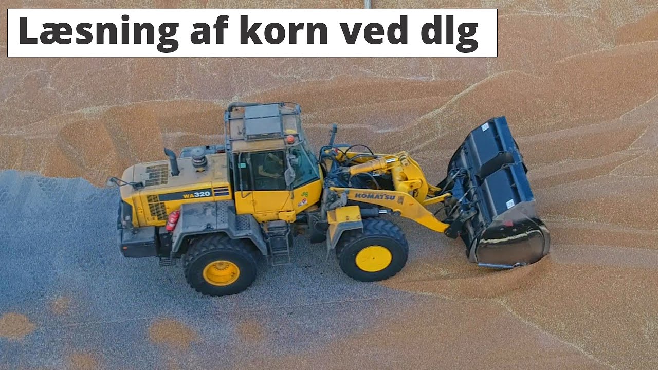 Læsning af korn ved DLG | Loading moving grain at DLG