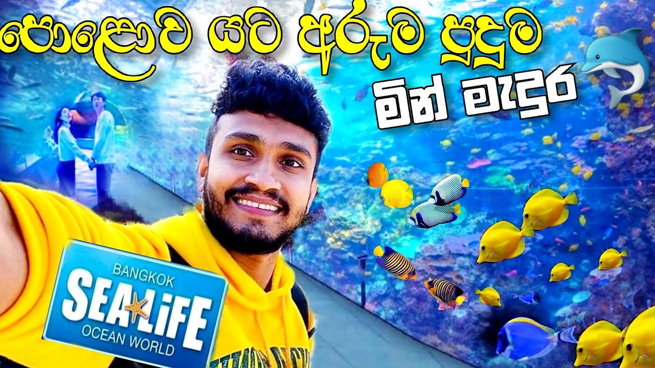 පොළොව යට හදපු  මින් මැදුර / Sea Life Ocean Would Apuarium🐬🐠