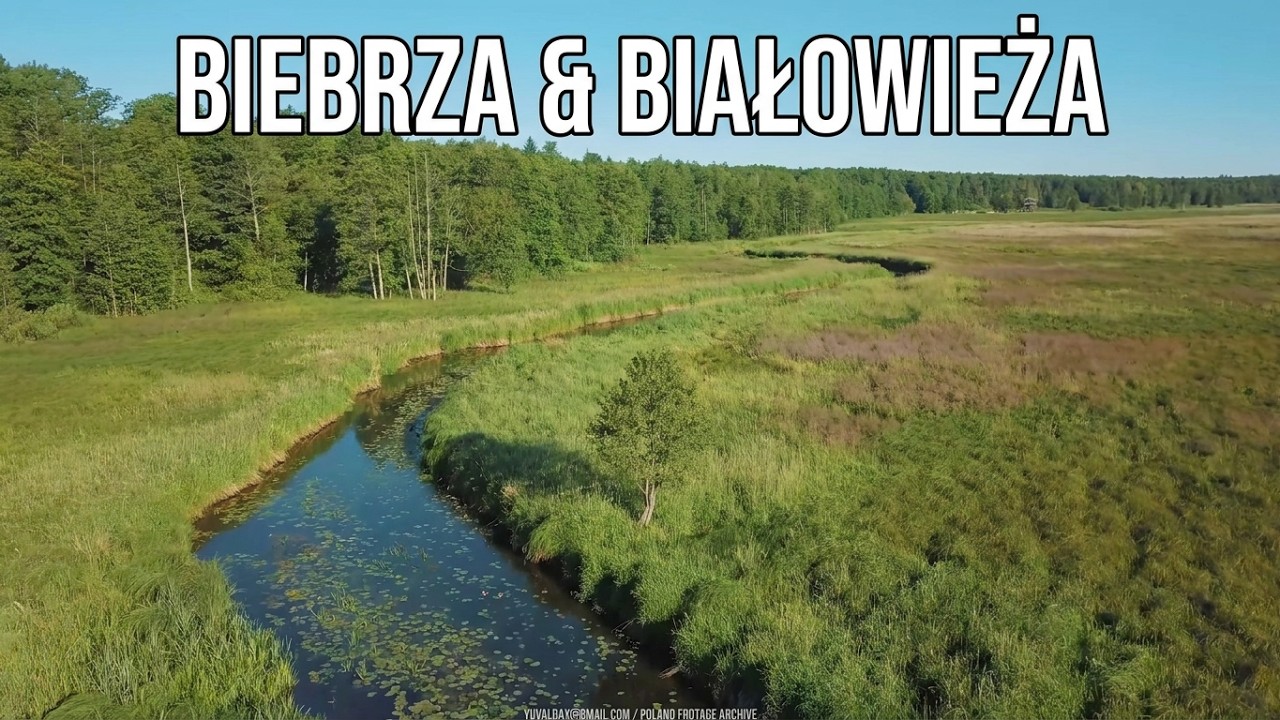 Białowieża & Biebrza national Parks,  Poland