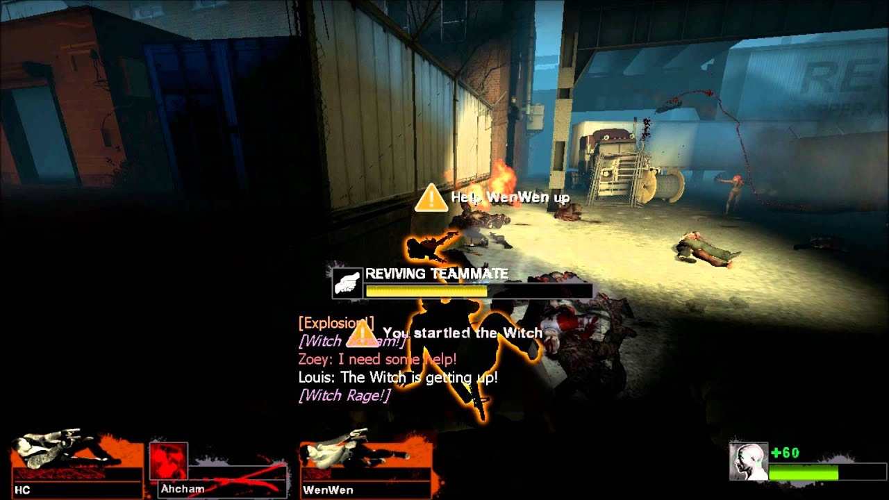 WTF L4D2 Moments with friends  - Pipe Bomb The Witch