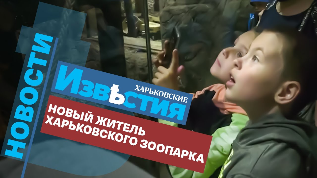 Новый житель харьковского зоопарка. Кто он?