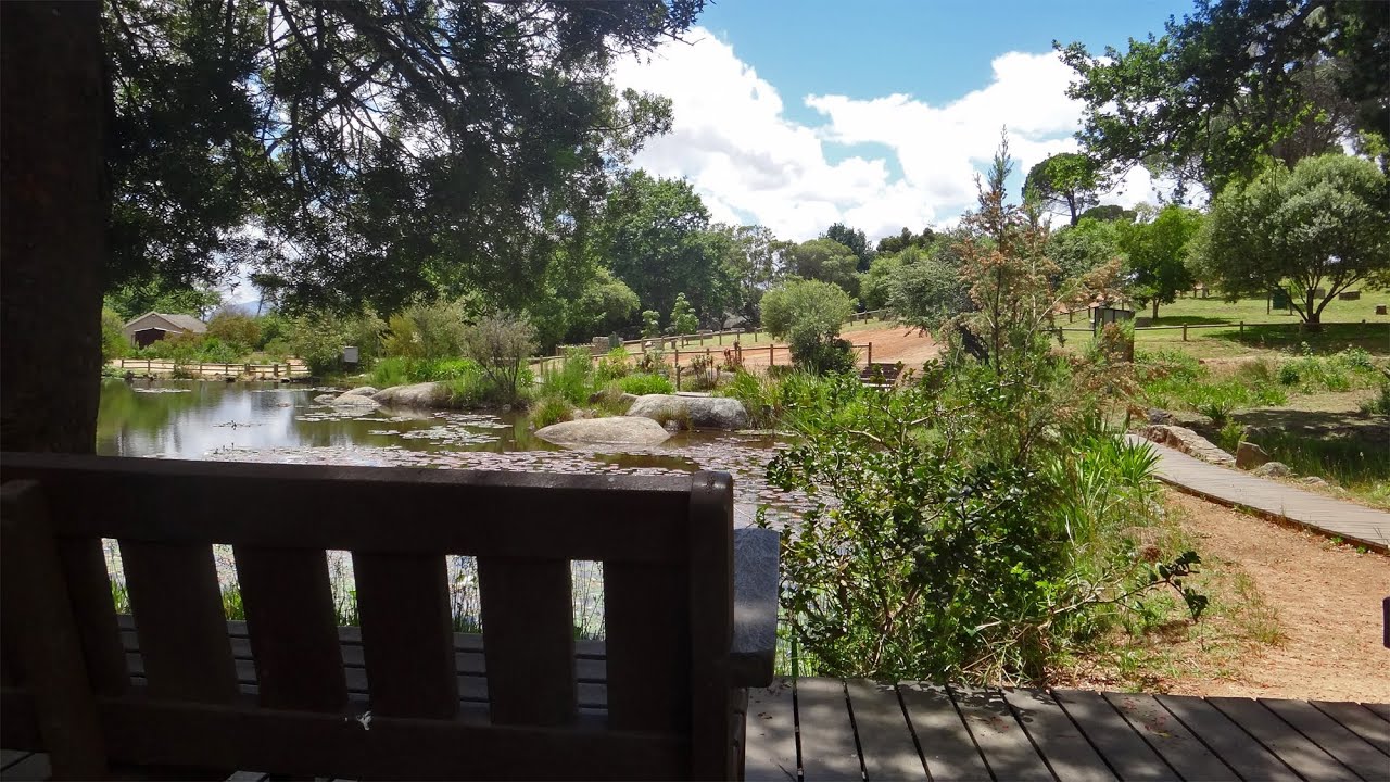 Paarl Mountain Picnic  Area