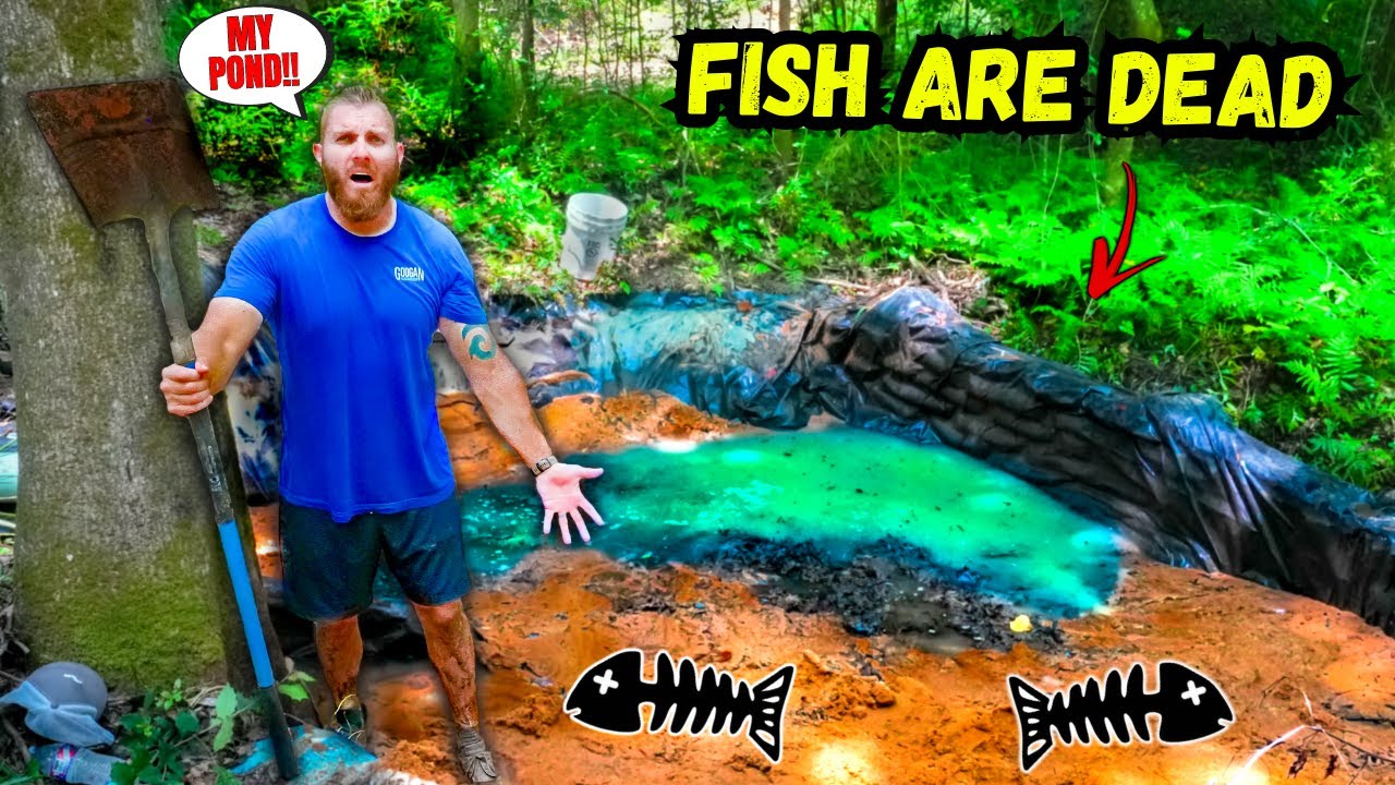 My 2,000 Gallon Pond got DESTROYED **PET FISH ARE DEAD**