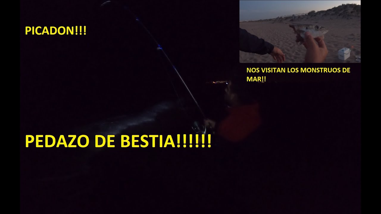 La noche de las BESTIAS!! Surfcasting en Alicante