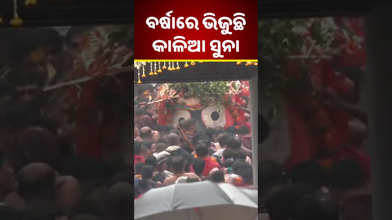 ବର୍ଷାରେ ଭିଜୁଛି କାଳିଆ ସୁନା ⭕❗⭕ 🙏🏻  Shorts | Jagannath | Puri