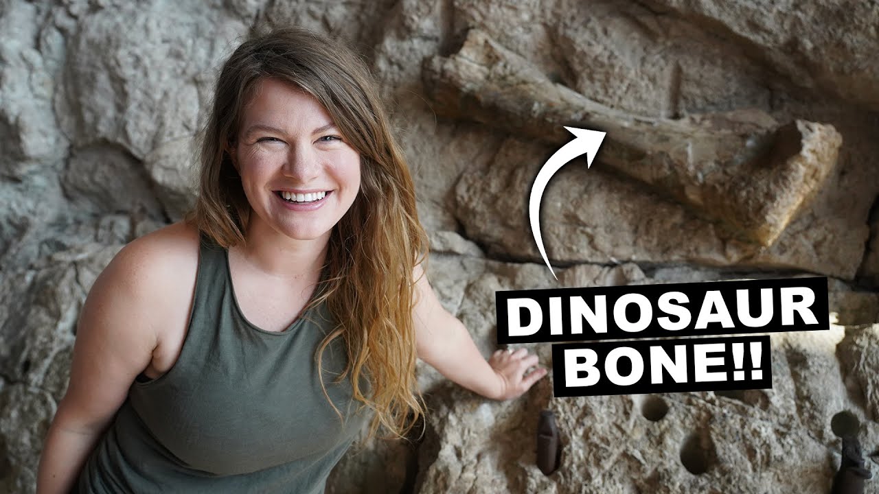FINDING DINOSAUR BONES IN UTAH (Dinosaur National Monument)