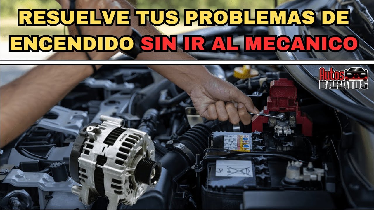 c&oacute;mo identificar si falla la bater&iacute;a o es el alternador! &iquest;te explico?