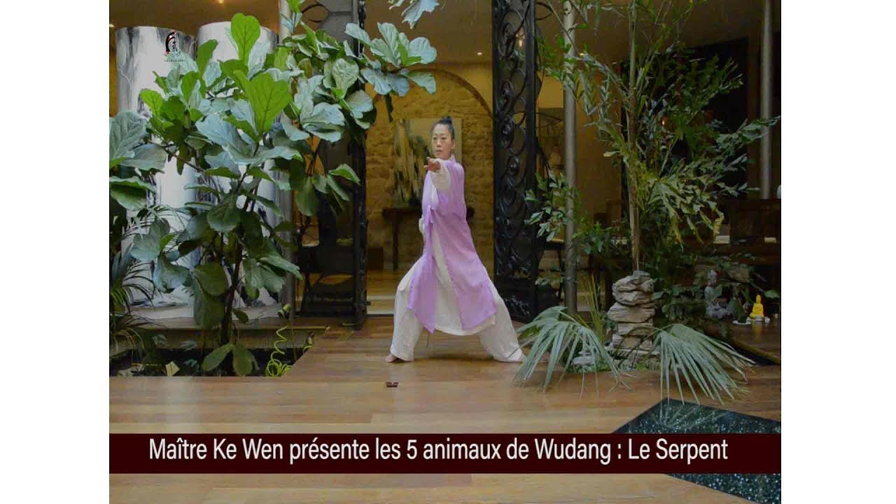 Maître Ke Wen présente Les 5 animaux de Wudang : Le Serpent