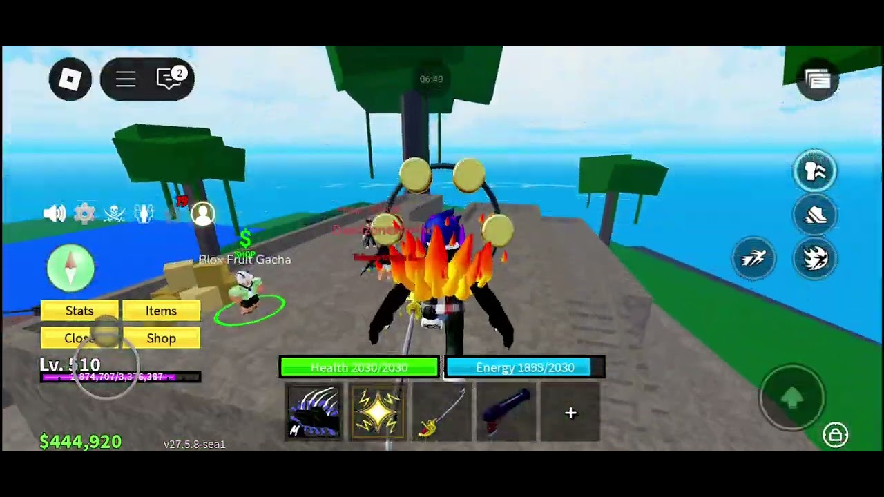 Blox fruit new video 