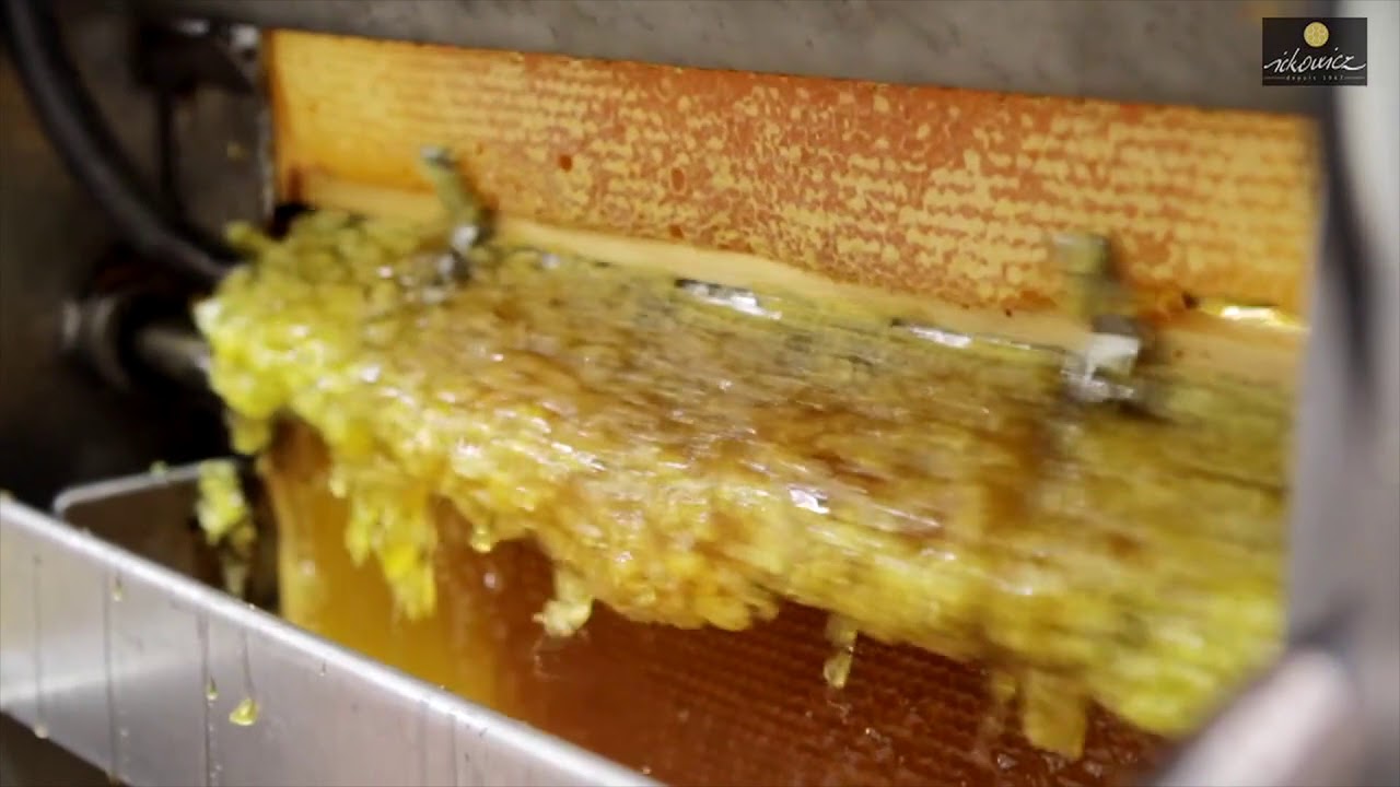 Chaîne d'extraction HoneyGold avec Deboxer et Spinfloat - ICKO Apiculture