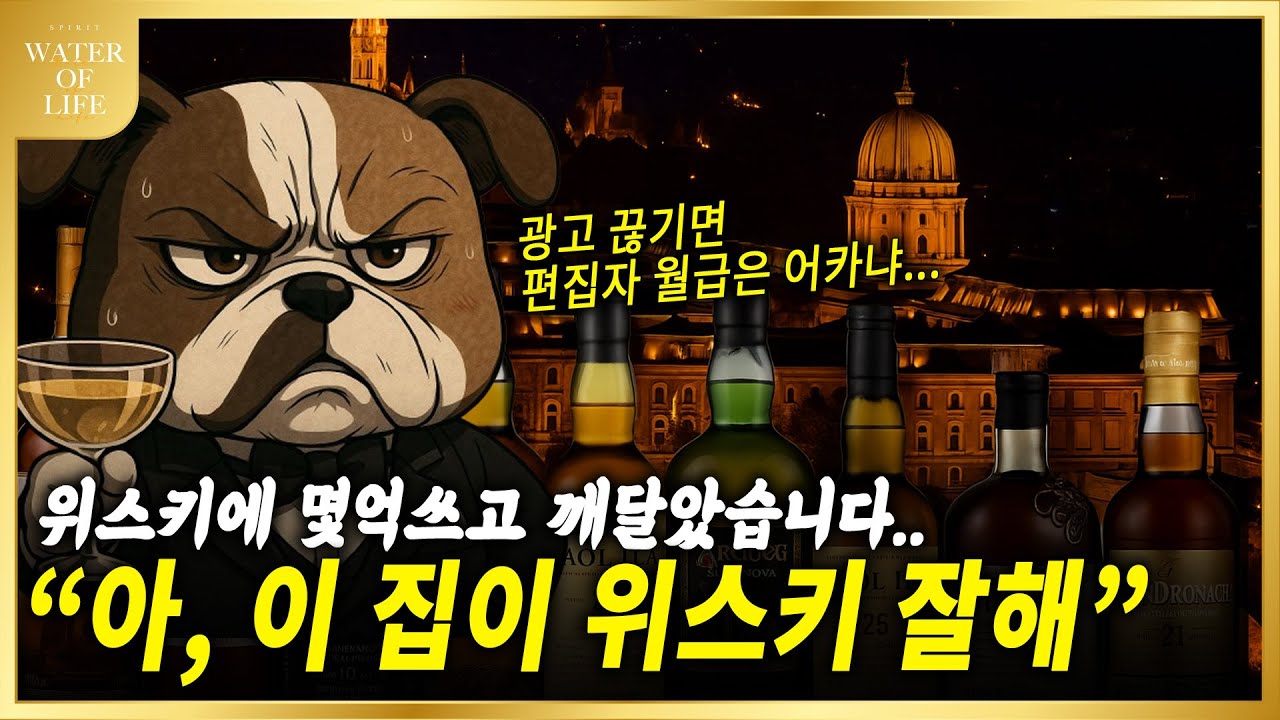 엔트리위스키 1억넘게  사먹고 느낀 증류소별 특징