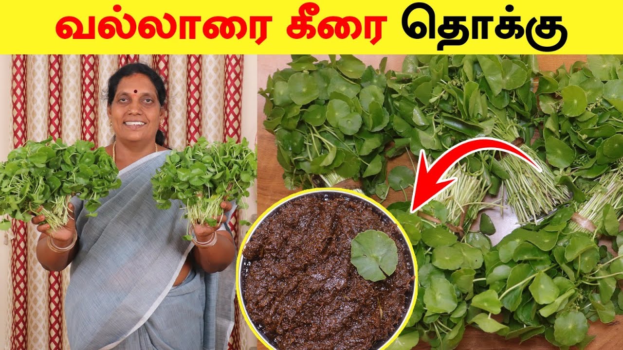 வல்லாரை கீரை தொக்கு செய்முறை | வீட்டு முறையில் | Vallarai Keerai Thokku Recipe | Foodie Tamizha