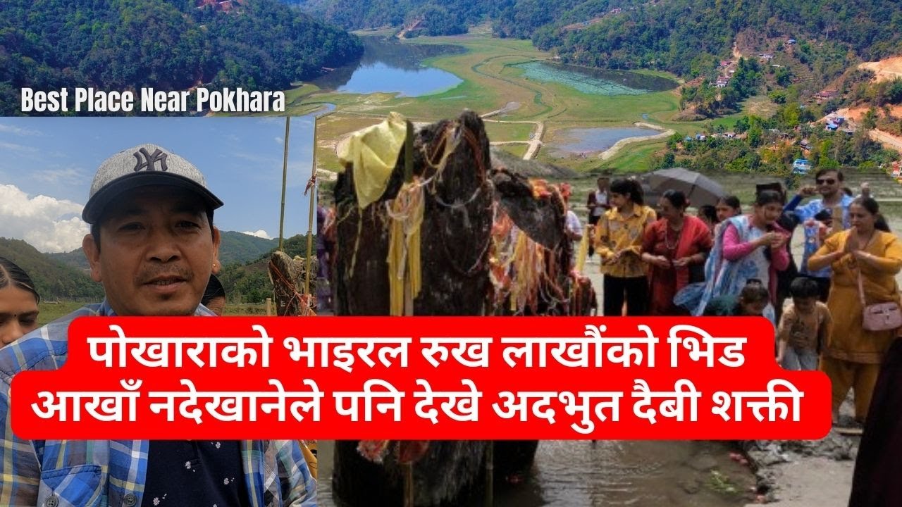 Pokhara को भाइरल रुख लाखौंको भिड आखाँ नदेखानेले पनि देखे अदभुत दैबी शक्ती | Rupa Lake | Rupatal