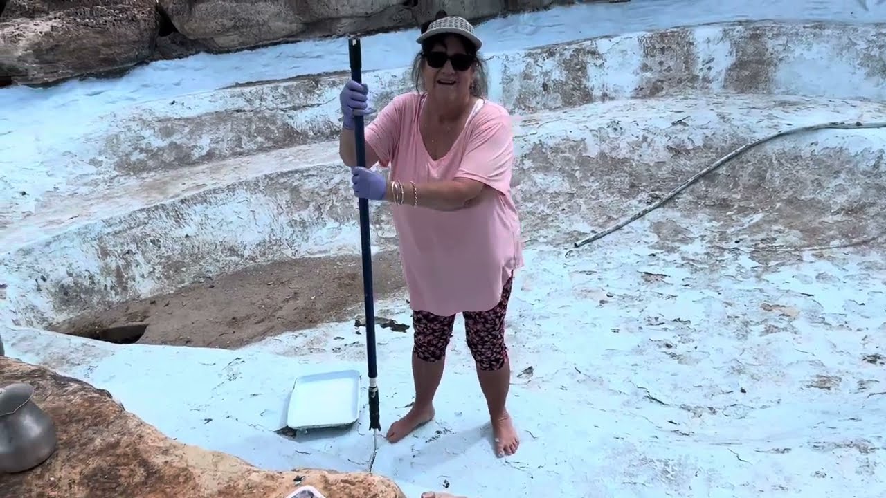 Painting the cement pond