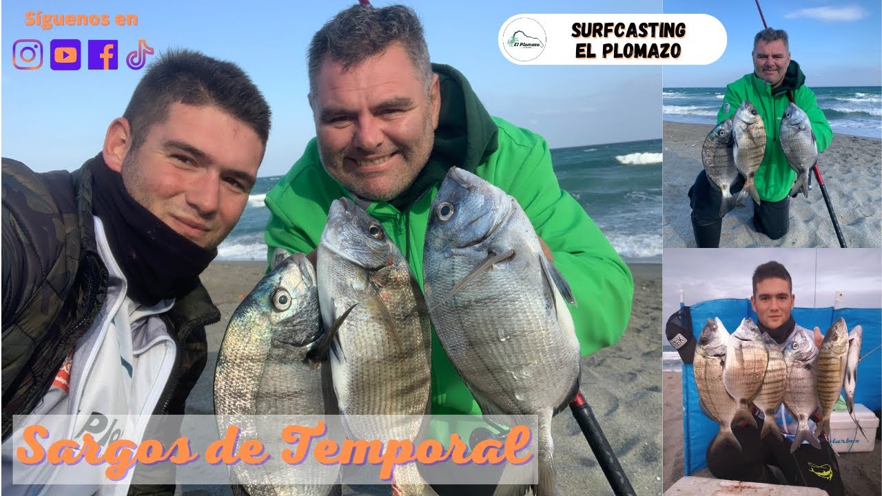 Sargos de Temporal