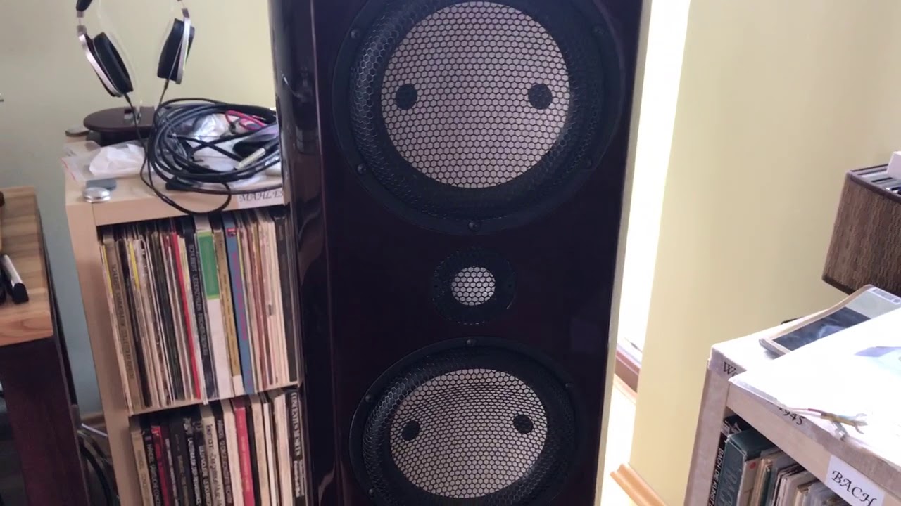 Accuton Akkus Redwine 717