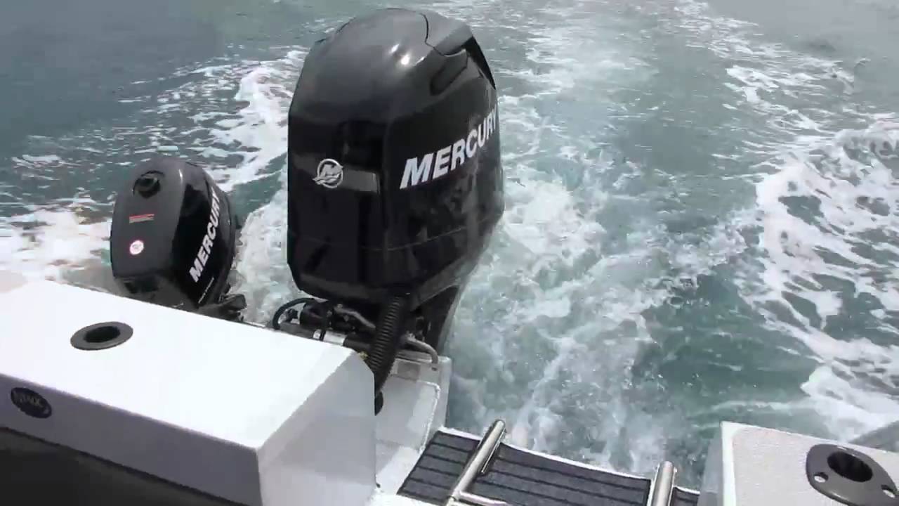TigerCub Launching 30th Nov 2011